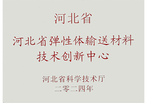 河北省彈性體輸送材料技術創新中心.jpg